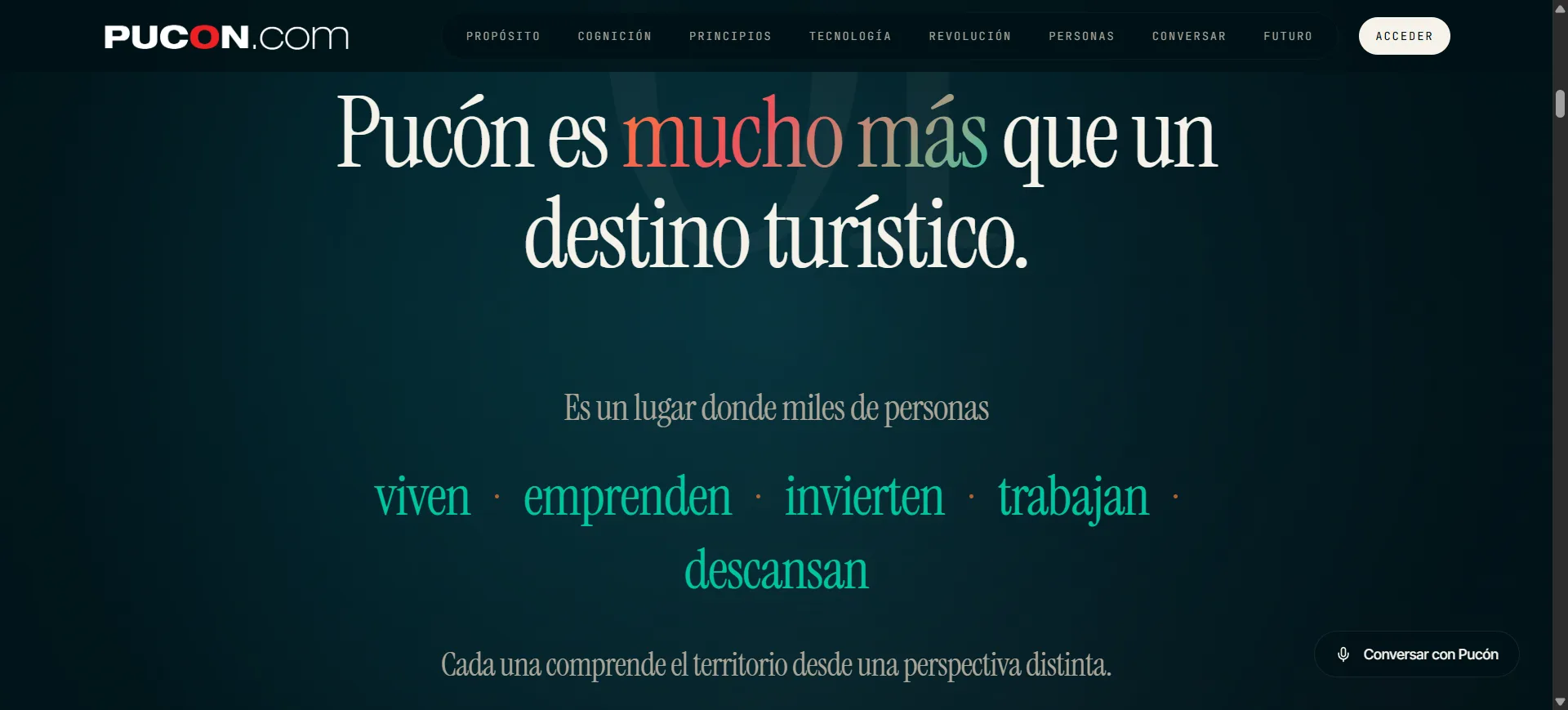 pucon.com | Roberto Nappe