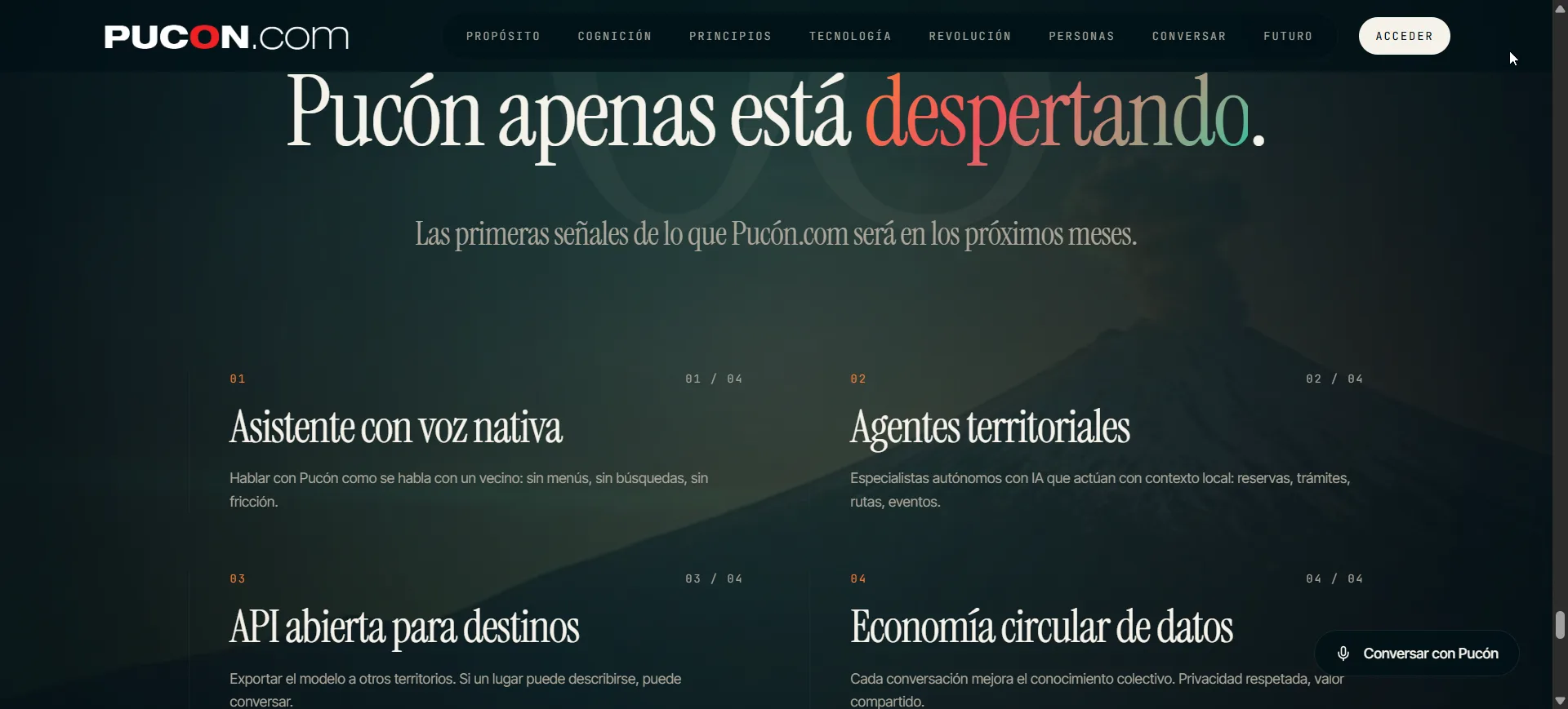 pucon.com | Roberto Nappe